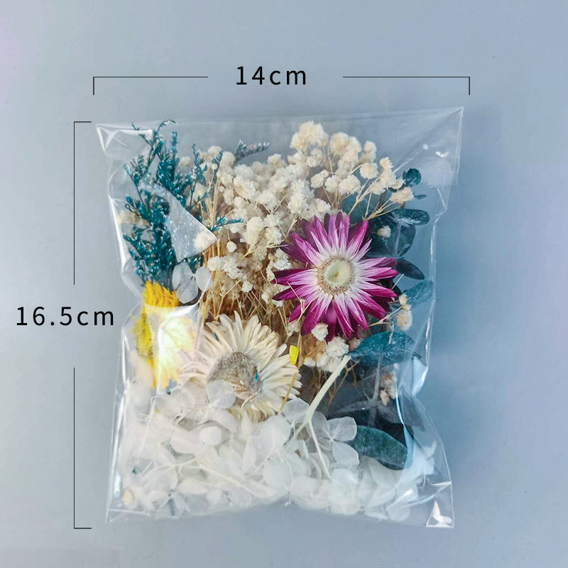 ชุดดอกไม้แห้งหลากหลายชนิด 1 แพ - Craft Embellishment บทวิจารณ์และราคา